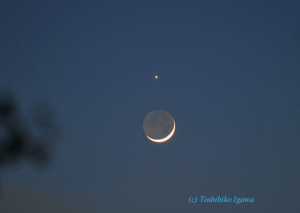 TLに話題になっていますが、夕方の月と金星の接近、確かにきれいでしたねぇ。何年前だったか、日本でも金星食が見られましたね。