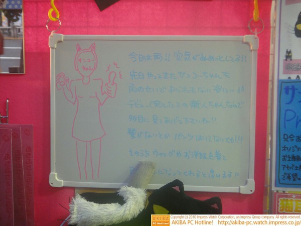 「先日やってきたサンコーちゃんも雨のせいであられもない姿に…デビューしたての新人ちゃんなので多目に見てあげて下さいね!!髪がないとかパンツはいてないとか!!!」サンコーレアモノショップ秋葉原総本店