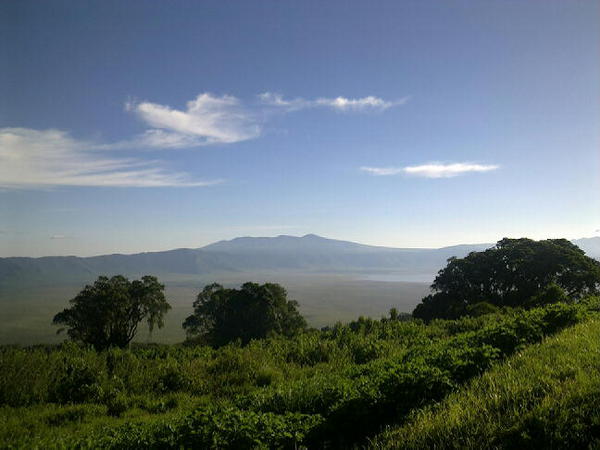View of the Ngorongoro caldera from our room at the Sopa lodge. It's 15 C on the rim, lovely place.