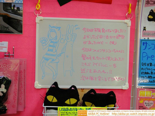 「今日はついにサンコーちゃんに髪の毛をセット(笑)しました!!これでアイドルに一歩近づきましたねっ!!次は服を変えるぞ!!(*>ω