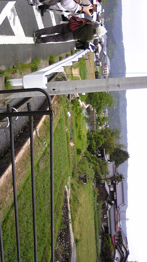 すげ田なう