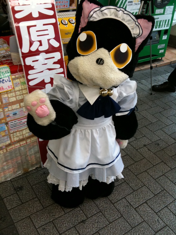 猫型(猫人型？)ロボットの猫店長。普段はアールティの店頭に居るそうです。