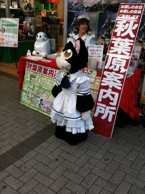 猫店長は男の子だそうです。男の子でメイド服・・・アキバらしい？