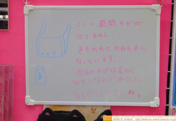 「ここ一週間カゼが治りません…声もかれておねぇ声になっています。今回のカゼは長びくみたいなのでみなさん気を付けて下さいね。」サンコー レアモノショップ秋葉原総本店