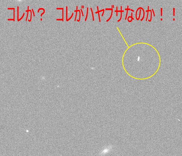 すばる！　頑張った！！