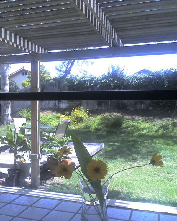 Twitpic