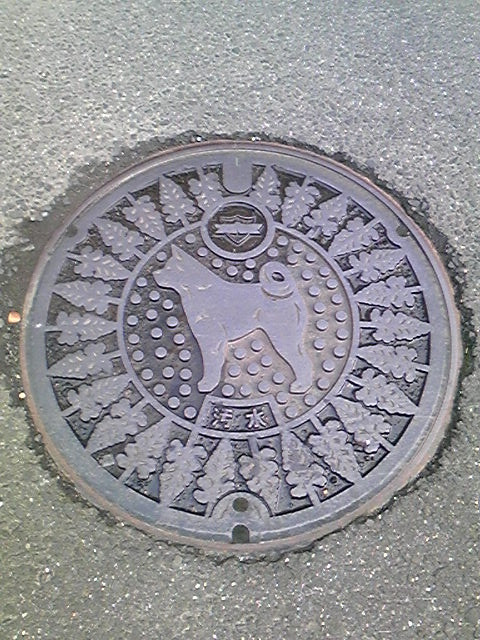 大館市のハチ公マンホールみっけ
