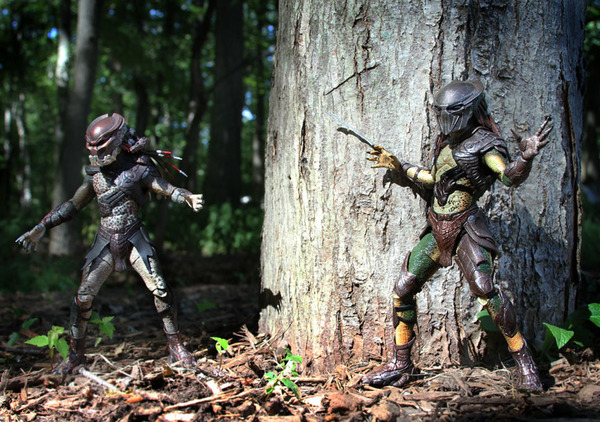 A teaser, Berserker &amp; Falconer in my backyard. More to come...