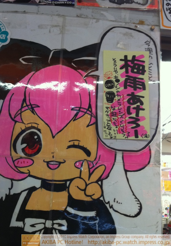 「今週のひとこと 梅雨あけろー(涙) そういや、キ●ノンのカメラレンズくりそつな超かっちょいいマグカップ入荷したお!!レア率100%!!!!」三月兎2号店