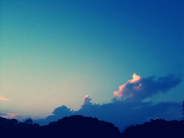 Twitpic