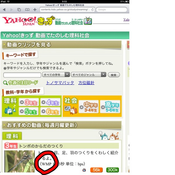 子供と寝そべりながらYahooキッズをiPadで楽しむ日曜。しかし肝心の動画が見られず。再生が始まらない理由を子供に問われてるナウ。。