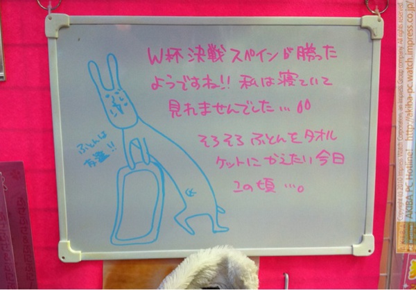 「W杯決勝スペインが勝ったようですね!!私は寝ていて見れませんでした…そろそろふとんをタオルケットにかえたい今日この頃…。」「ふとんは友達」サンコーレアモノショップ秋葉原総本店