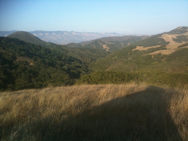 This is one of the fields &amp; backdrop  where we shot today! Um gorgeous!  