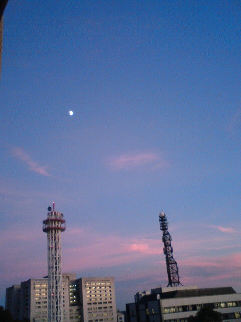 お月さんとサンゴ色の夕焼け!!最近ずっと夕焼けが美しいなぁ。
