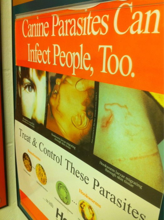 Why is the vet's office full of gross-out scare posters? 