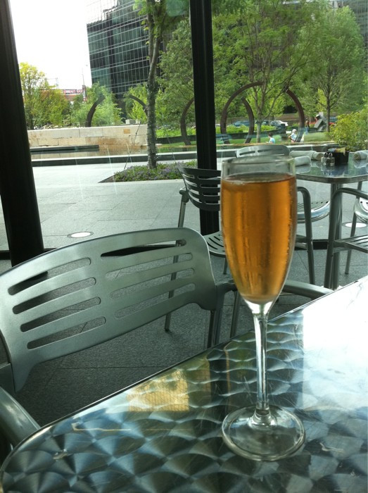 Champagne cocktails at the Terrace View, looking out over the City Garden: 