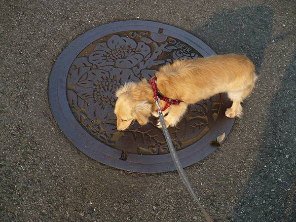 チー：「ここは、くまもとー」 #odaiphoto