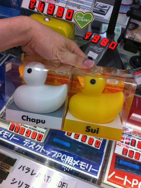 お風呂に浮かべて使う光るアヒルがテクノハウス東映に入荷。900円。