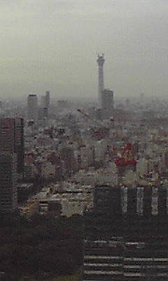 スカイツリーが独立して見えた