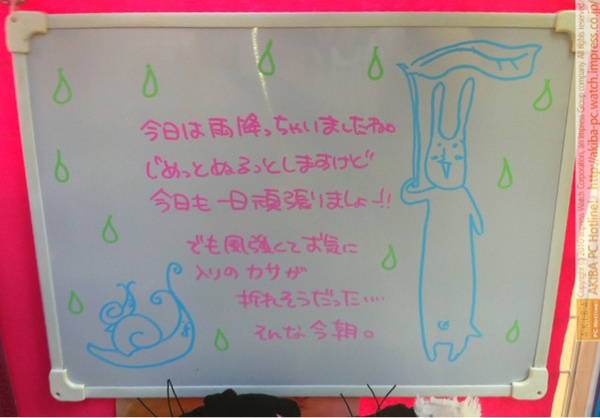 「今日は雨降っちゃいましたね。じめっとぬるっとしますけど今日も一日頑張りましょー!! でも風強くてお気に入りのカサが折れそうだった…。そんな今朝。」サンコーレアモノショップ秋葉原総本店