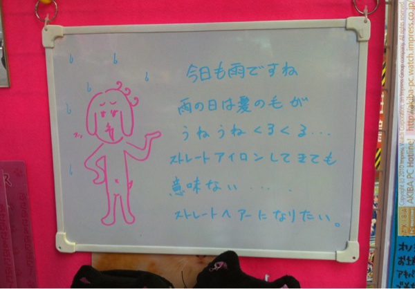 「今日も雨ですね 雨の日は髪の毛がうねうねくるくる…ストレートアイロンしても意味ない…ストレートヘアになりたい。」サンコーレアモノショップ秋葉原総本店
