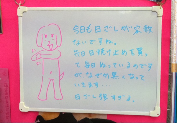 「今日も日ざしが容赦ないですね。先日日焼け止めを買って毎日ぬっているのですがなぜか黒くなっていきます…日ざし強すぎる。」サンコー レアモノショップ秋葉原総本店