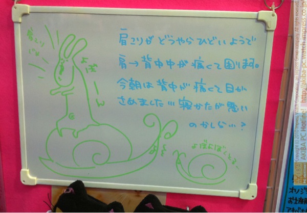 「肩こりがどうやらひどいようで肩→背中が痛くて困ります。今朝は背中が痛くて目がさめました…寝かたが悪いのかしら？」サンコーレアモノショップ秋葉原総本店