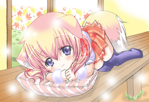 小春日和でひなたぼっこ~ #konkofes