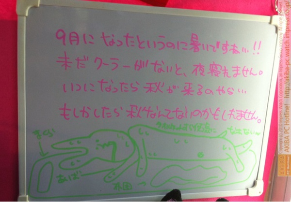 「9月になったというのに暑いですね…!!未だクーラーがないと、夜寝れません。いつになったら秋が来るのやら…もしかしたら秋なんてないのかもしれません。」サンコーレアモノショップ秋葉原総本店