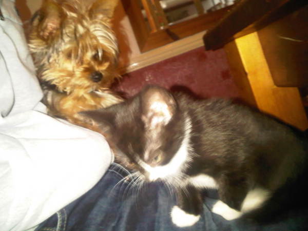 Alfie has a new friend ..#SWY xx