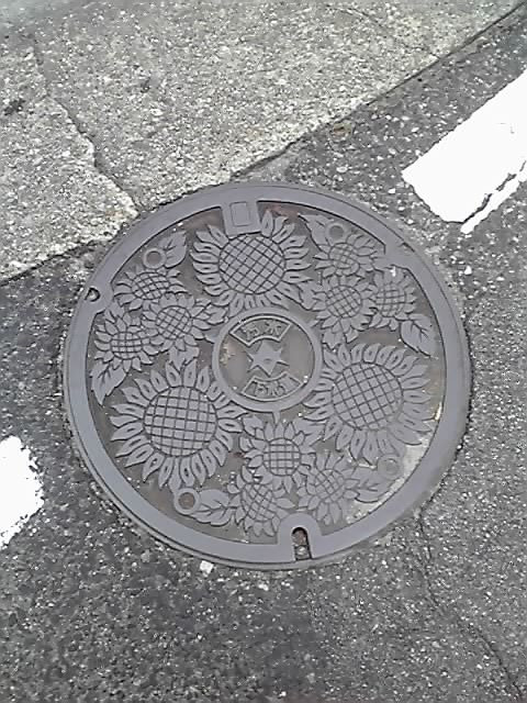 ちなみにこれ、豊田市のマンホールのふた。向日葵がおしゃれ。
