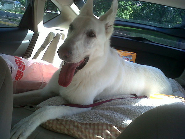 Happy is the dog who is coming home until monday!!!!