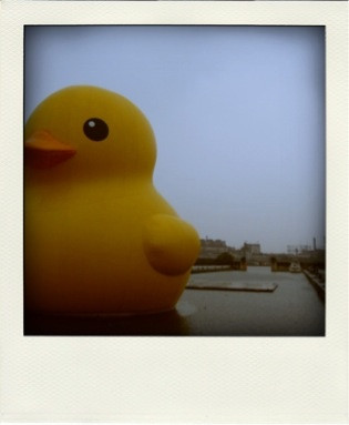 Twitpic