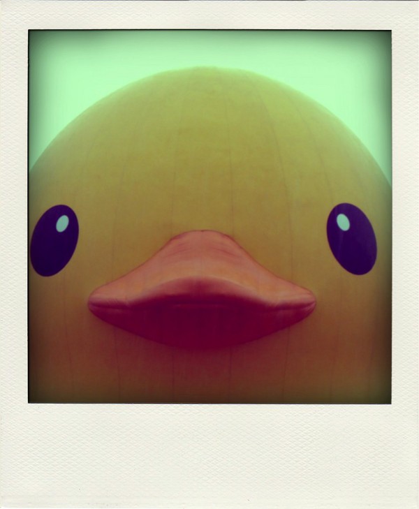 Twitpic