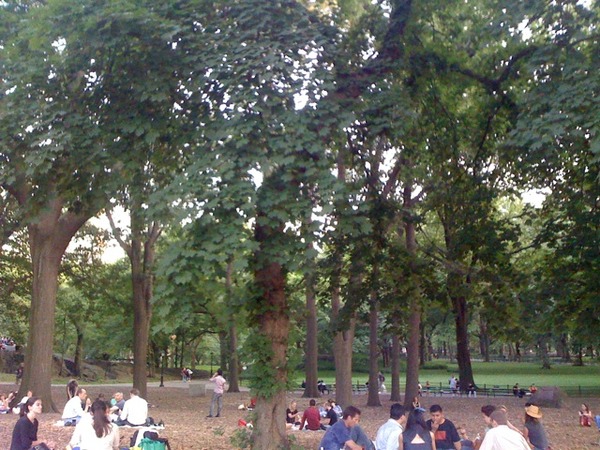 Lovely evening in the park to listen to the met!