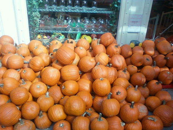 pumpkins! at st. mark's pl.