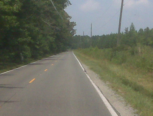 Elbow road is creepy and haunted as shit. Its scary even in the middle of the day. Look it up.