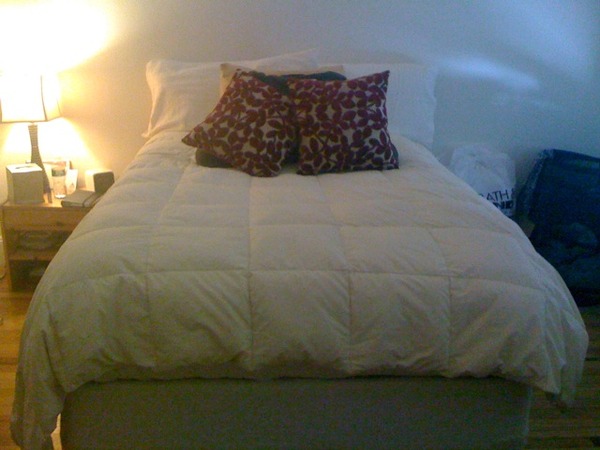 New bed! Smaller, yes. But higher off the ground and very comfy.