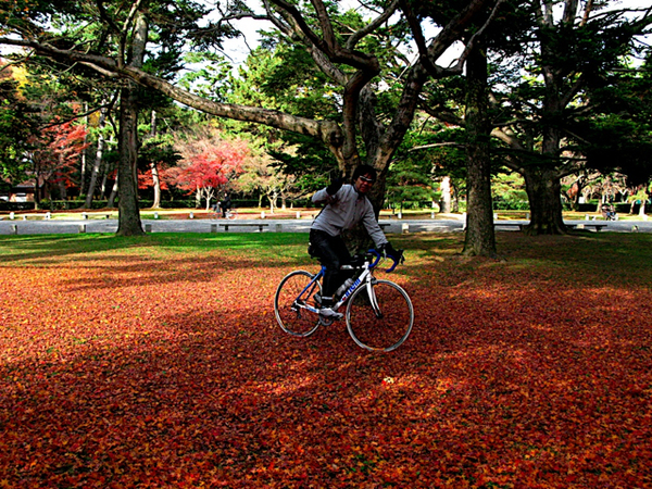 紅葉の絨毯の上を走り回って上機嫌の図。