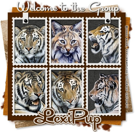 I'm not really a cat person, but I LOVE TIGERS so it stands to reason that Sandi Baker would be one of my favorites.