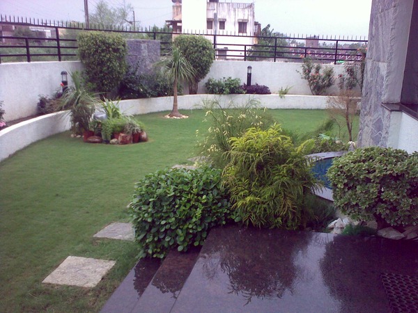 My garden in rain..