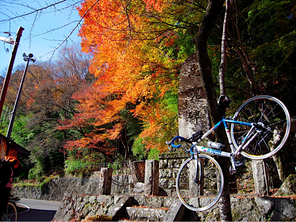 一昨年の今頃。山梨県昇仙峡にある金桜神社。春は桜の名所です。
