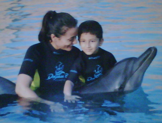 Dolphins!!