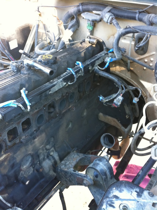 An ideal Black Friday. Oil, grease &amp; a new manifold.