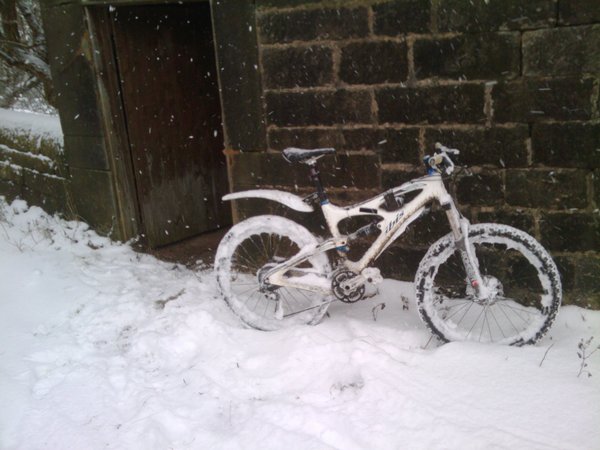 Car fail, mountain bike succeed... Sheep fed. Love the Ibis. Like a sofa on wheels. Uphill. In the snow.