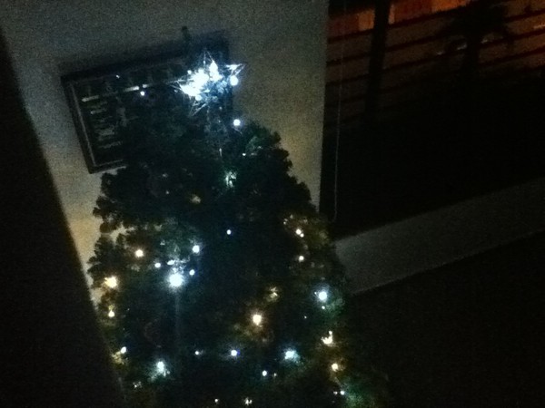 Happy to see my tree lighted up at night. Wish it were Christmas forever, I could get used to it. 