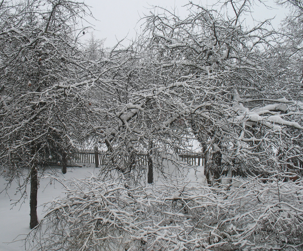Skats caur logu Jēkabpils centrā 2010. gada 29. decembrī.