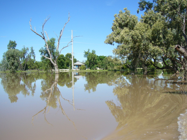 3.30pm 4/1/2011 leaving my home by boat.Measuring 13M, 6ks downstream St George. #Qldfloods #thebigwet 
