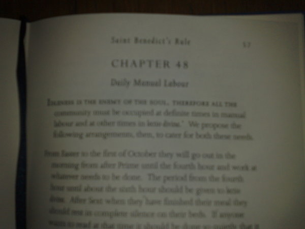 Today's reading from St Benedict's Rule: Daily Manual Labour.