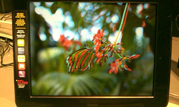 Kodak cont.  Here's a photo of the supposedly 3D photo tech.  http://twitpic.com/3o9ln3 